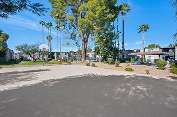 Basketball court